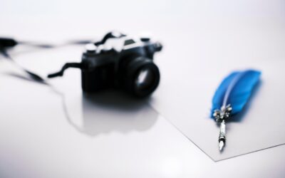 Article Vivacité / RTBF